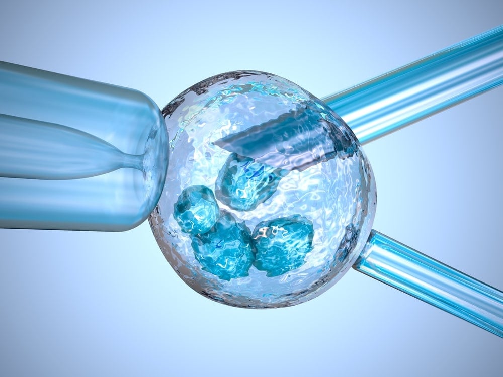 Aguja de vidrio de inseminación artificial que fertiliza un óvulo femenino