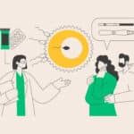 Método baster: inseminación casera con jeringa en reproducción asistida