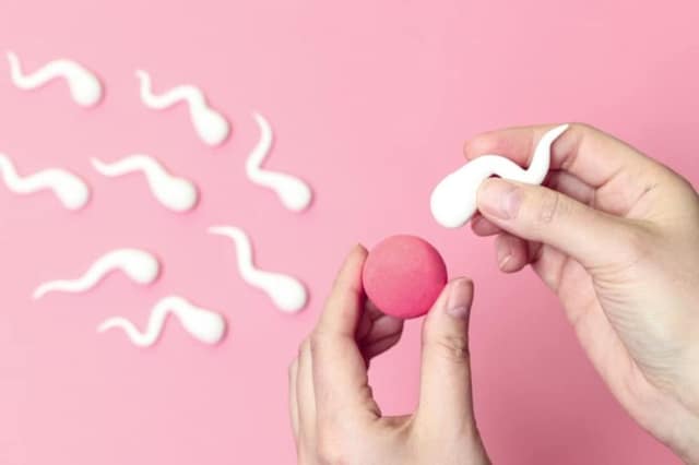 inseminación artificial concepto concebir niño