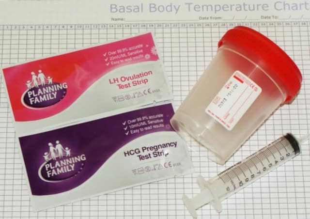 ¿Qué diferencia una inseminación artificial de una inseminación casera?