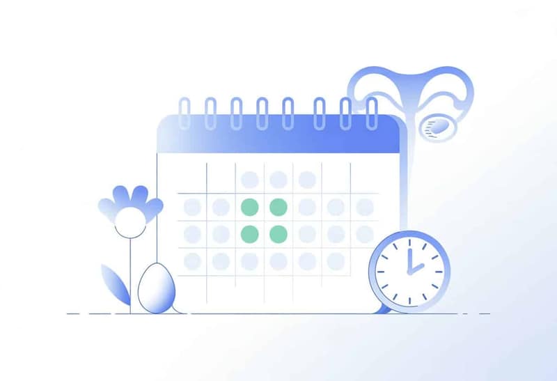 Calendario con días destacados que indican el período fértil, acompañado de iconos relacionados con la fertilidad